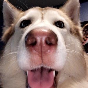 Meet your Posher, Joanna